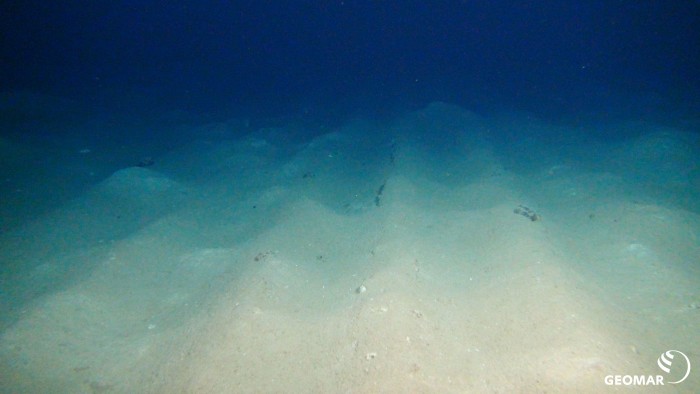 Nach 26 Jahren sind die Spuren des Egge auf dem Meeresboden immer noch erkennbar. (Bild: ROV-Team/Geomar)